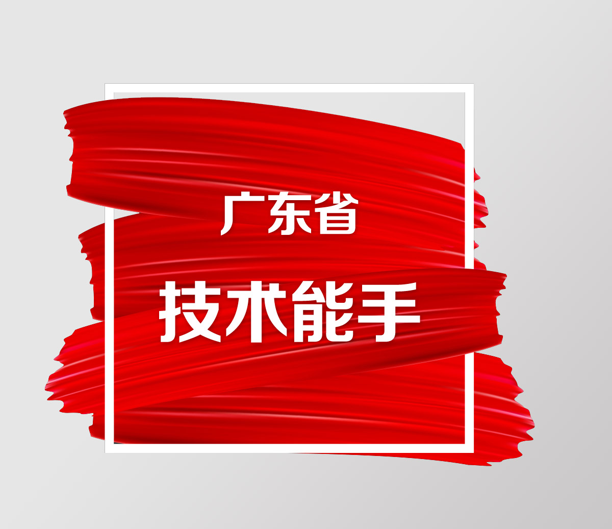 广东省技术能手