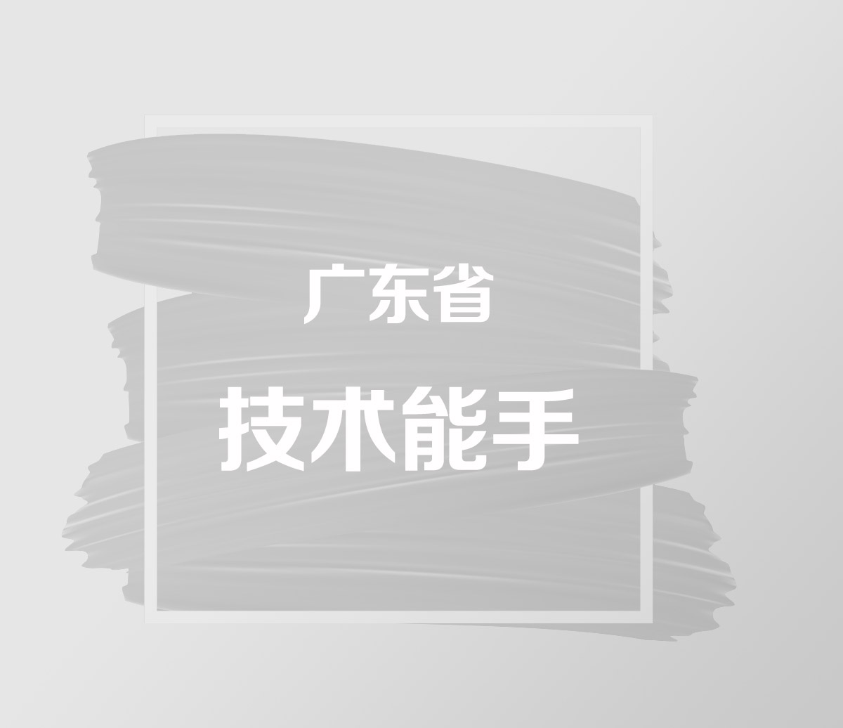 广东省技术能手