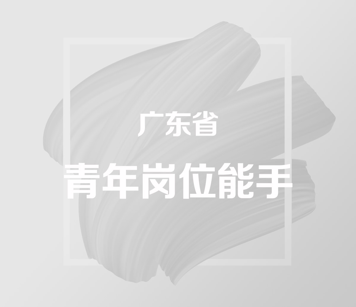 广东省青年岗位能手